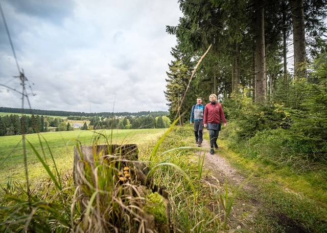 2026 im Erzgebirge