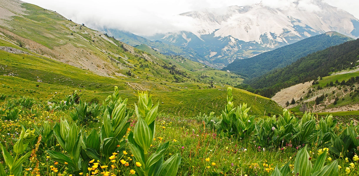 Inspirationen_Frankreichs-verschwundene-Doerfer_Hero_C-MartinaKatz Wiesenlandschaft auf Hochebene mit Blick auf die Berge.