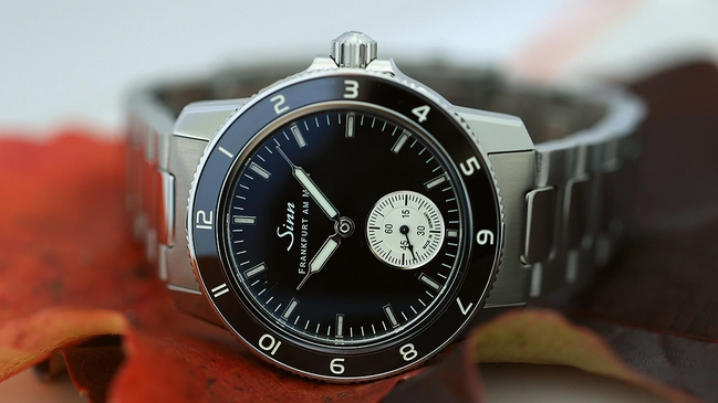 Sinn Spezialuhren 104 Klassik 12, Uhr liegend auf Herbstlaub