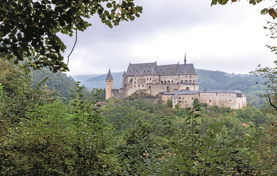 Ausblick auf eine Burg durch die Blätter eines Baumes