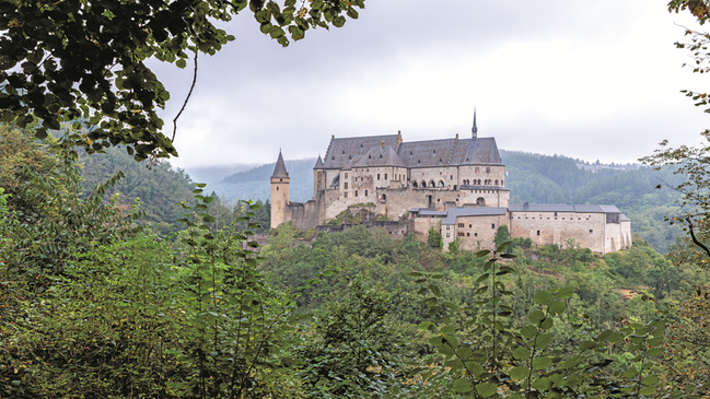 Ausblick auf eine Burg durch die Blätter eines Baumes