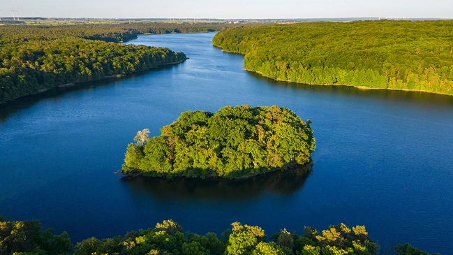 Landschaftsaufnahme von Wald und einem Gewässer.