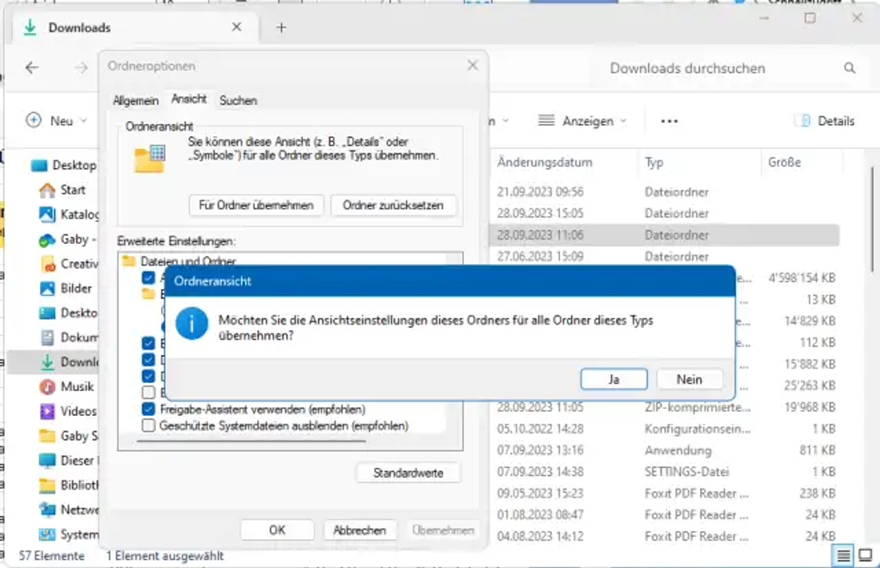 Die Ordneroptionen und das Rückfrage-Fenster