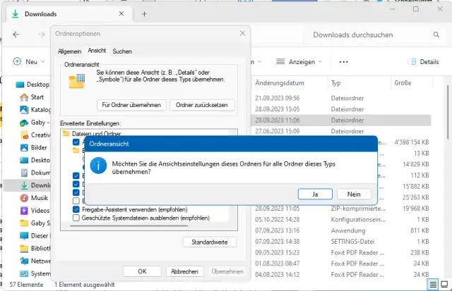 Die Ordneroptionen und das Rückfrage-Fenster