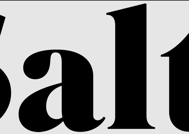Salt Logo