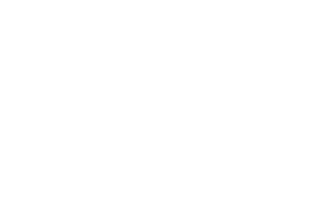 Partner-Logos-640x427-bundgreensofware.png