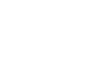 digihub_weiss.png