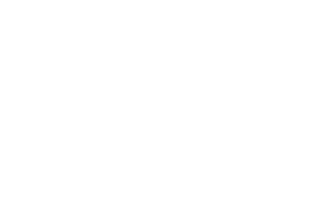 Stiftung_Informatik_Karlsruhe_weiss.png