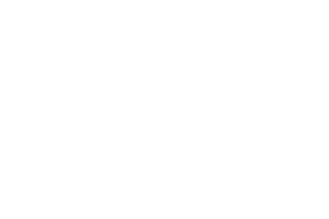 Partner-Logos-640x427-codelution.png