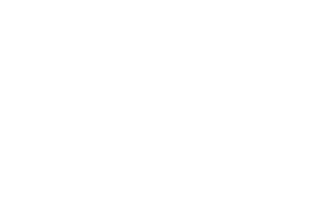 Partner-Logos-640x427-everest.png