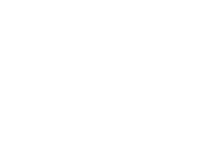 Partner-Logos-640x427-dnp.png