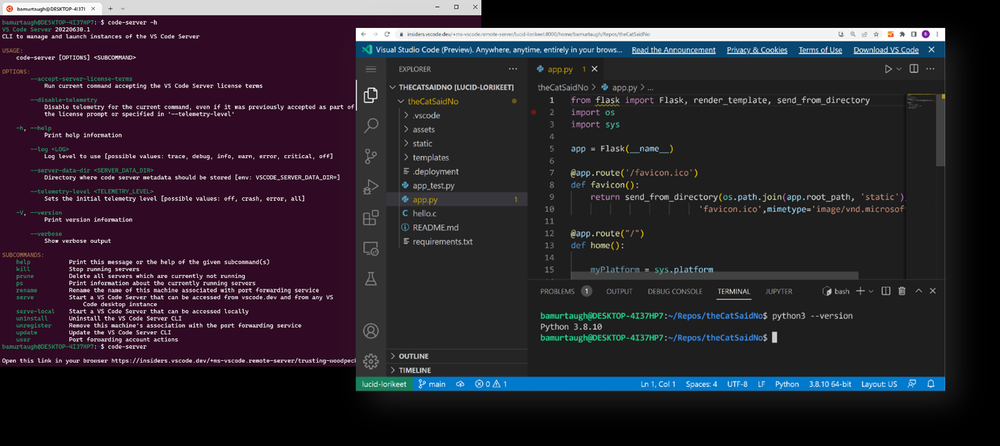 Visual Studio Code Server | DWX Developer World