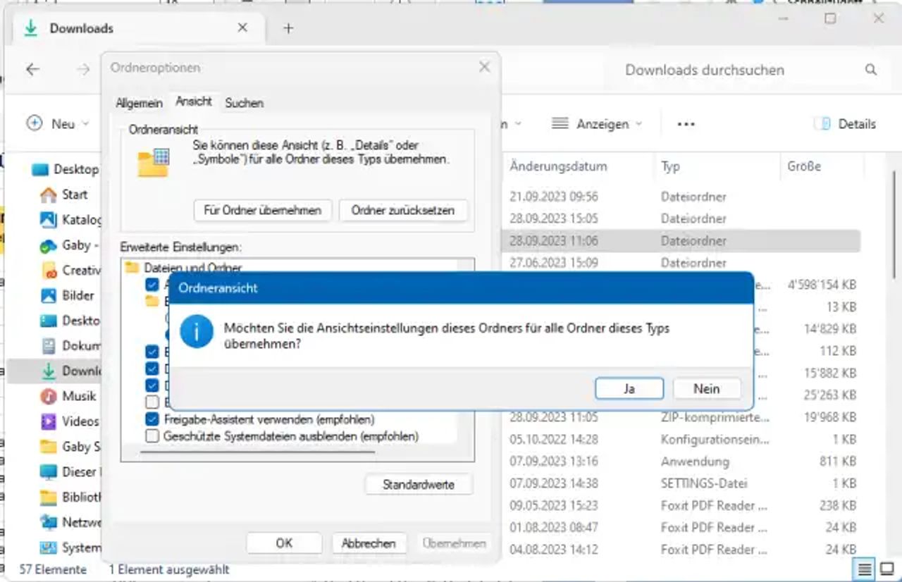 Die Ordneroptionen und das Rückfrage-Fenster