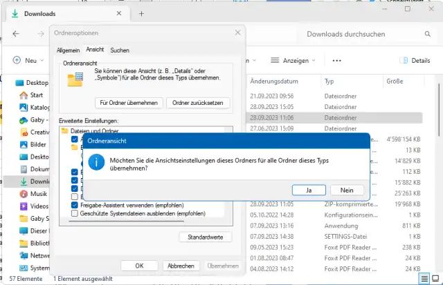 Die Ordneroptionen und das Rückfrage-Fenster