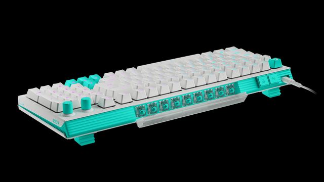 Neun analoge Schalter werden gleich mitgeliefert und verstecken sich auf der Rückseite der Tastatur