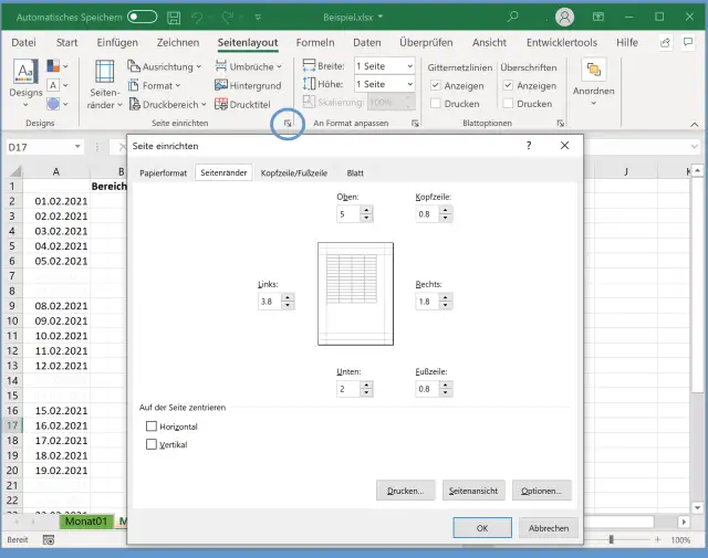Screenshot Seite einrichten und das markierte Steuerelement