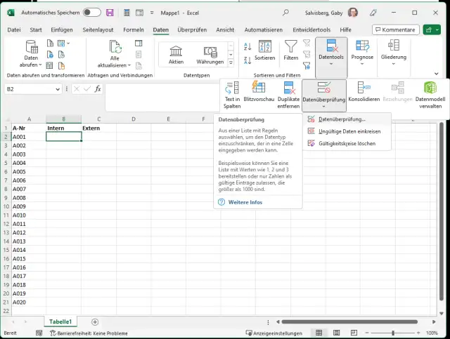 Excel-Screenshot mit dem Menü, das die Gültigkeitsprüfung enthält