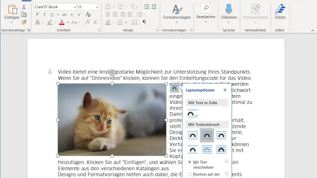 Screenshot Word mit Bild eines Kätzchens und dem aufgeklappten Textumfluss-Menü