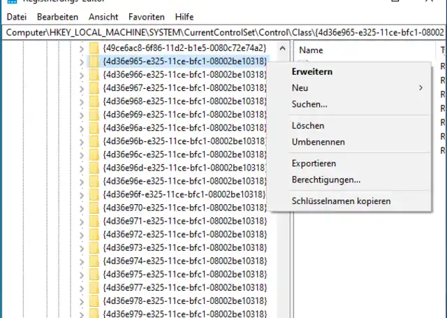 Die Registry mit dem Kontextmenü auf dem hier besprochenen Zweig