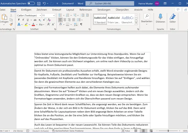 Word-Fenster mit Linien um jeden Absatz