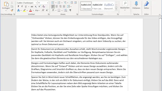 Word-Fenster mit Linien um jeden Absatz