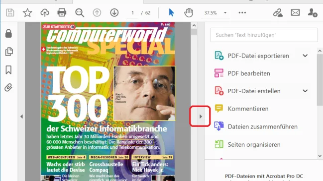 PDF im Acrobat Reader mit markiertem Minimierungs-Dreieck