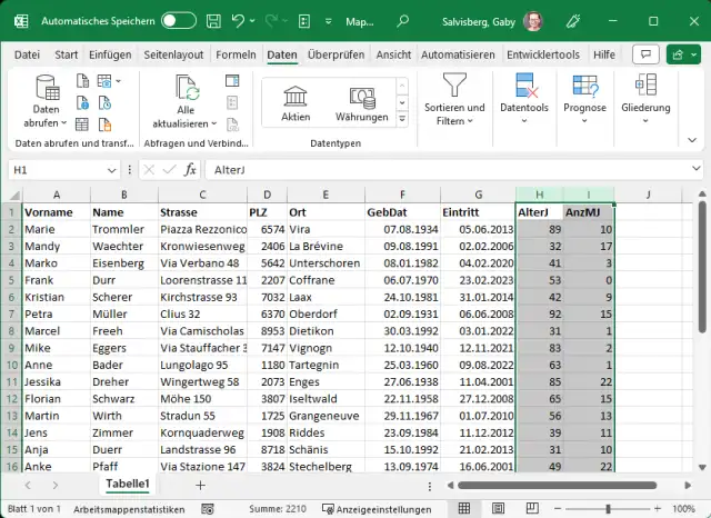 Excel-Mitgliederliste mit Spalten "Alter" und "Mitgliedschaftsdauer"