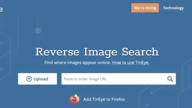 Screenshot der Rückwärts-Bildersuche in TinEye
