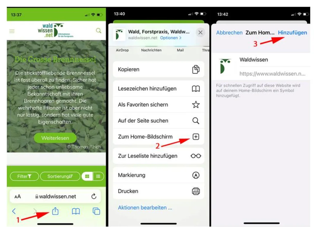 Nebeneinander stehen drei Screenshots aus der Waldwissen-App