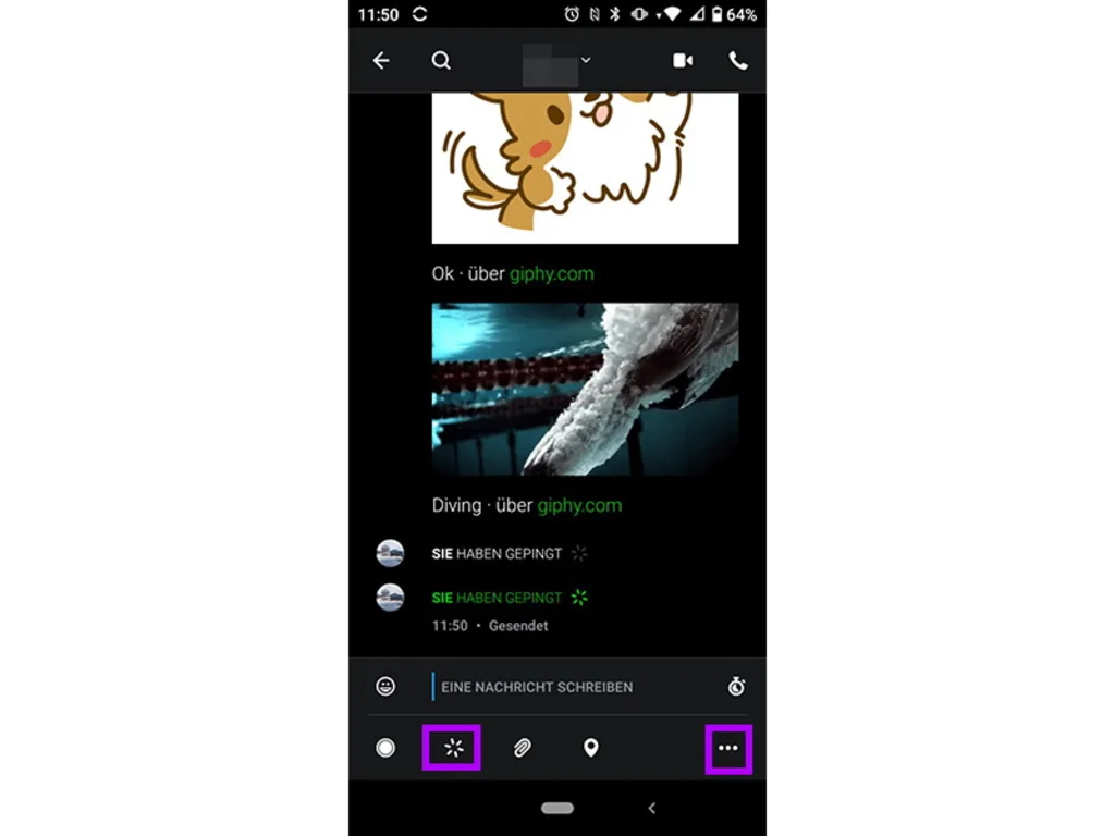 Screenshot Wire mit gesendetem Ping