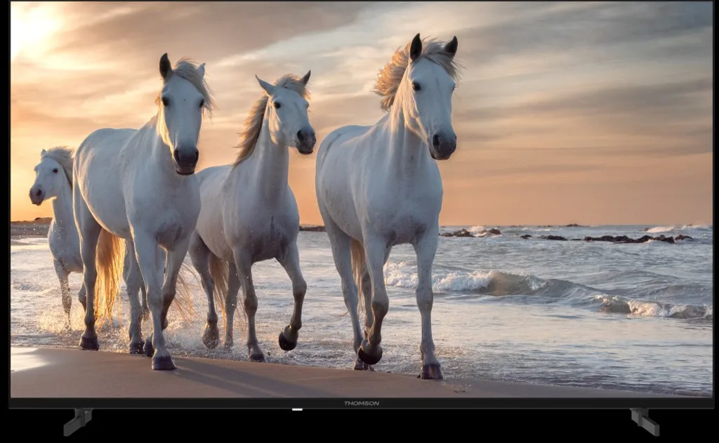 Ein Smart-TV, auf dem drei Pferde zu sehen sind