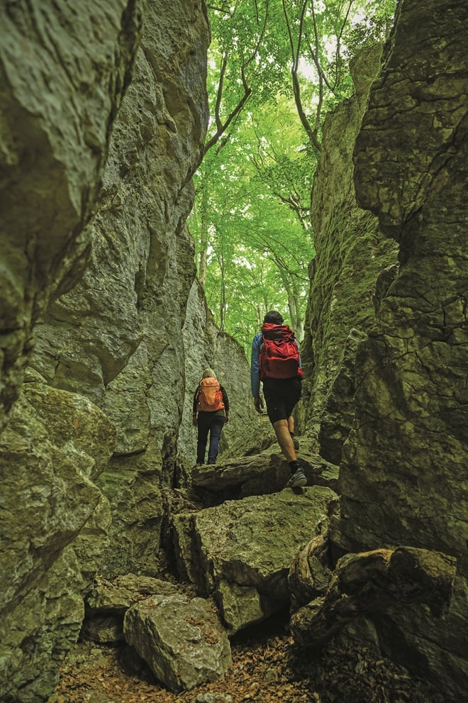 Zwei Wanderer auf einem Wanderweg im Grünen