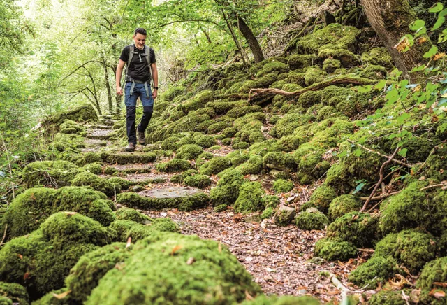 Mann geht auf einem stufigen Wanderweg nach unten