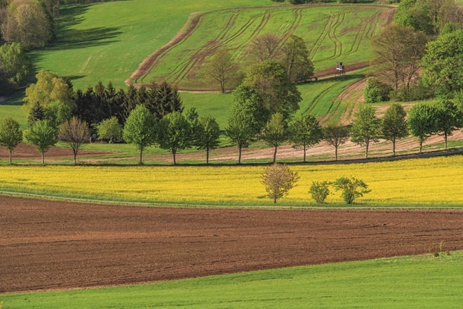 Zwei Wanderer auf einem Wanderweg im Grünen