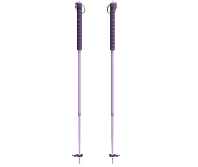 Tourenstock von Yardsale