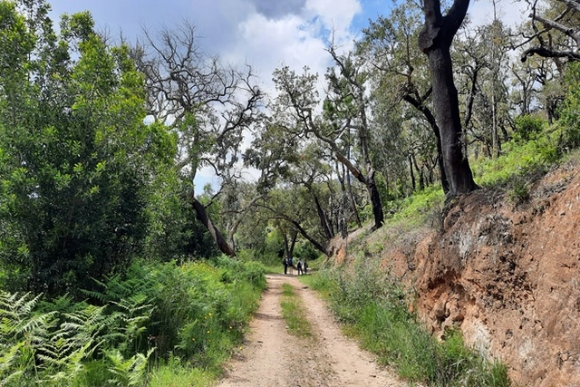 Eine Höhle mit einem Unterwassersee