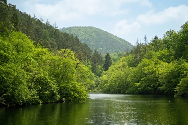 Zwei Wanderer auf einem Wanderweg im Grünen