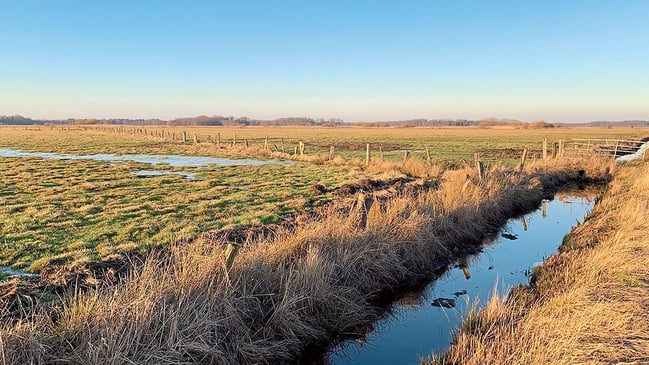 Feldlandschaft Worpswede mit kleinem Flußbett