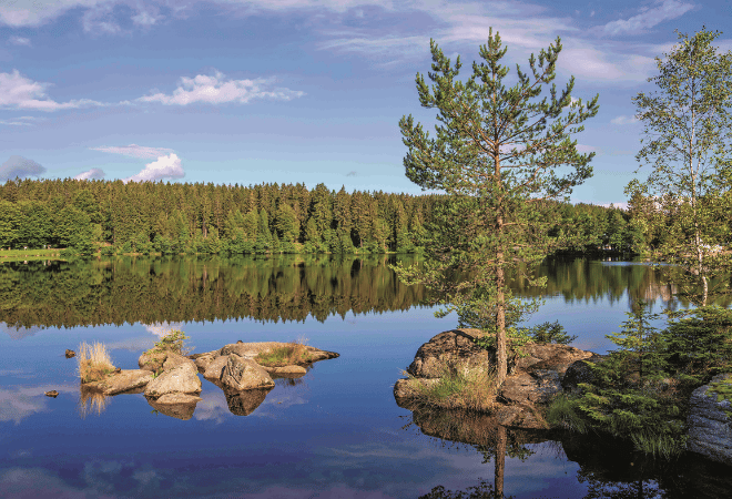 Ufer des Fichtelsees