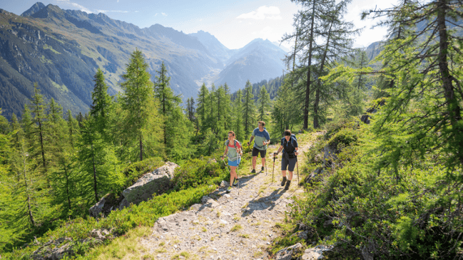Drei Wanderer auf einem Schotterweg im Wald mit Bergpanorama