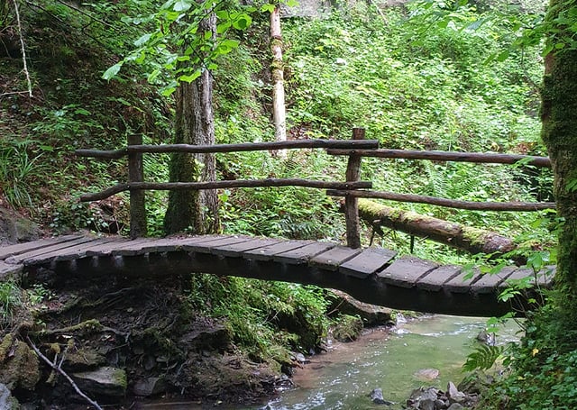 Aufnahme einer Brücke über einen Bach im Schwäbisch-Fränkischen Wald.