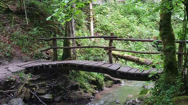 Aufnahme einer Brücke über einen Bach im Schwäbisch-Fränkischen Wald.