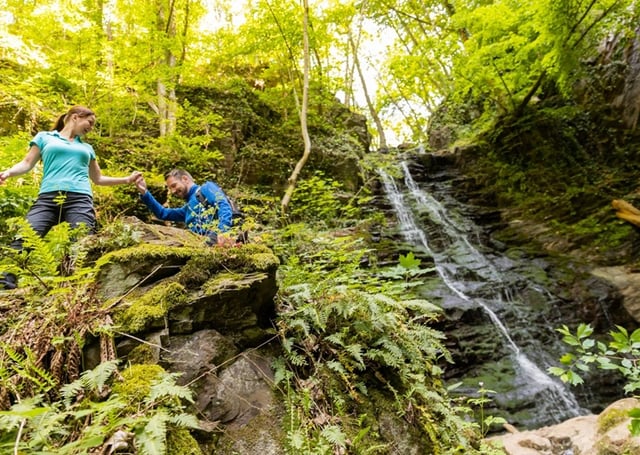 Eifel Wasserfall