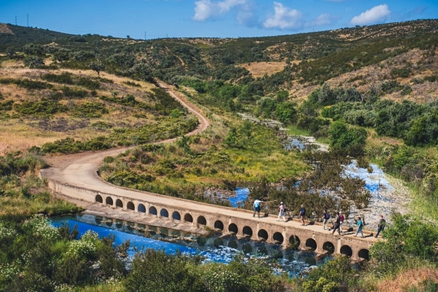 Zwei Wanderer auf einem Wanderweg im Grünen