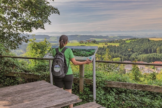 Zwei Wanderer auf einem Wanderweg im Grünen