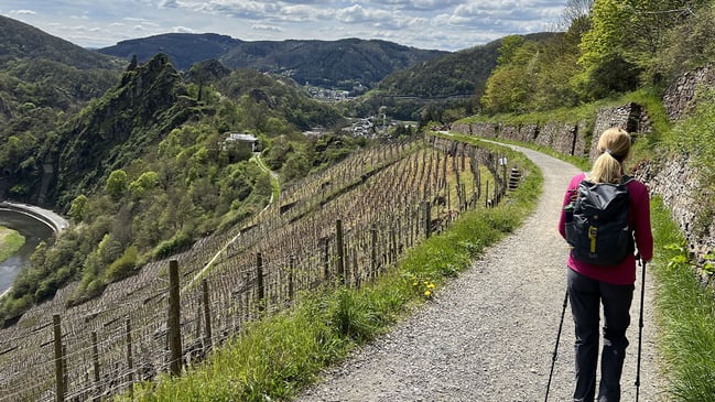 Wandernde Person neben Weinberg vor grüner Bergkulisse im Ahrtal.