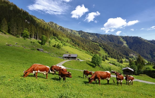 Großarltal