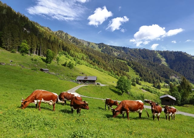 Großarltal