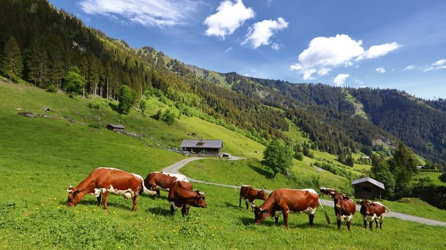 Großarltal