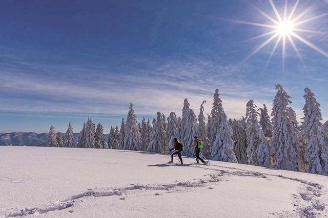 Zwei Wanderer auf einem Wanderweg im Grünen